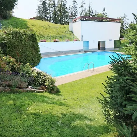 Renove Et Chaleureux En Plein Centre Daire Crans-Montana